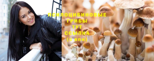герыч Аркадак