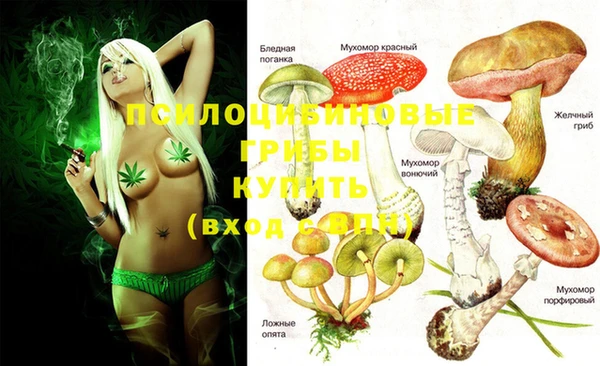 гашик Балабаново