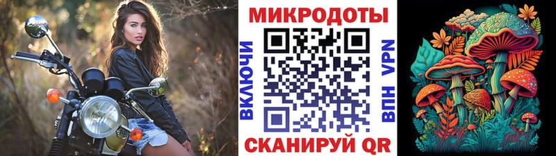 Купить где  Губаха  Галлюциногенные грибы Cubensis 